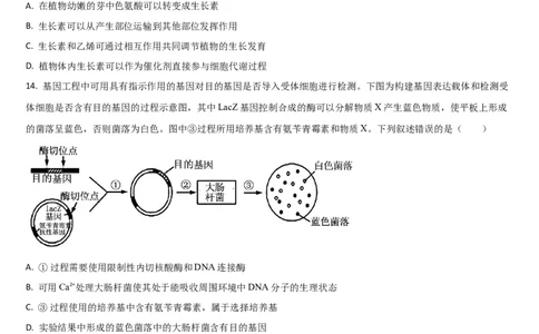 吉林省通化市梅河口市第五中学2024-2025学年高三上学期1月期末生物试题_2025年1月_250110吉林省通化市梅河口市第五中学2024-2025学年高三上学期1月期末考试试题