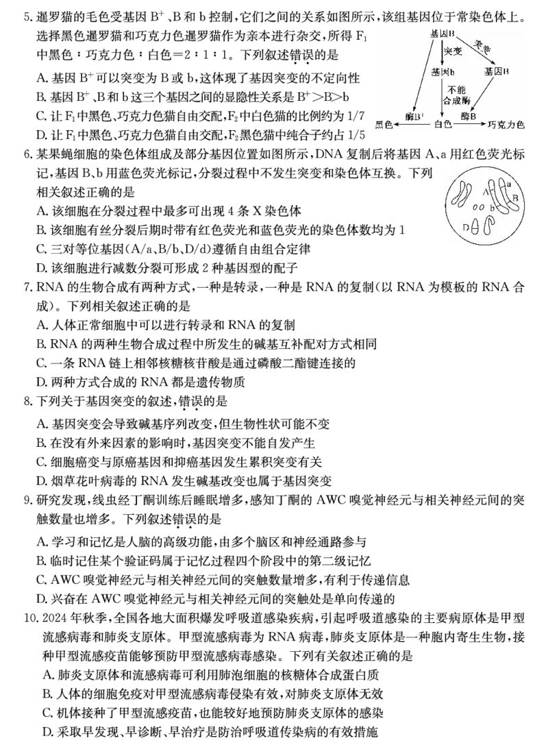 山西省三晋卓越联盟2025届高三上学期期末质量检测卷生物_2025年1月_250124山西省三晋卓越联盟2025届高三上学期期末质量检测卷（全）