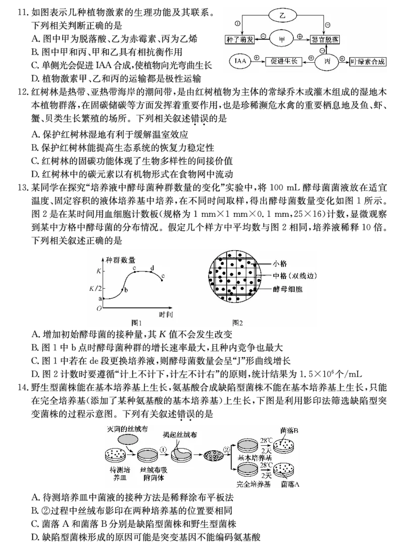 山西省三晋卓越联盟2025届高三上学期期末质量检测卷生物_2025年1月_250124山西省三晋卓越联盟2025届高三上学期期末质量检测卷（全）
