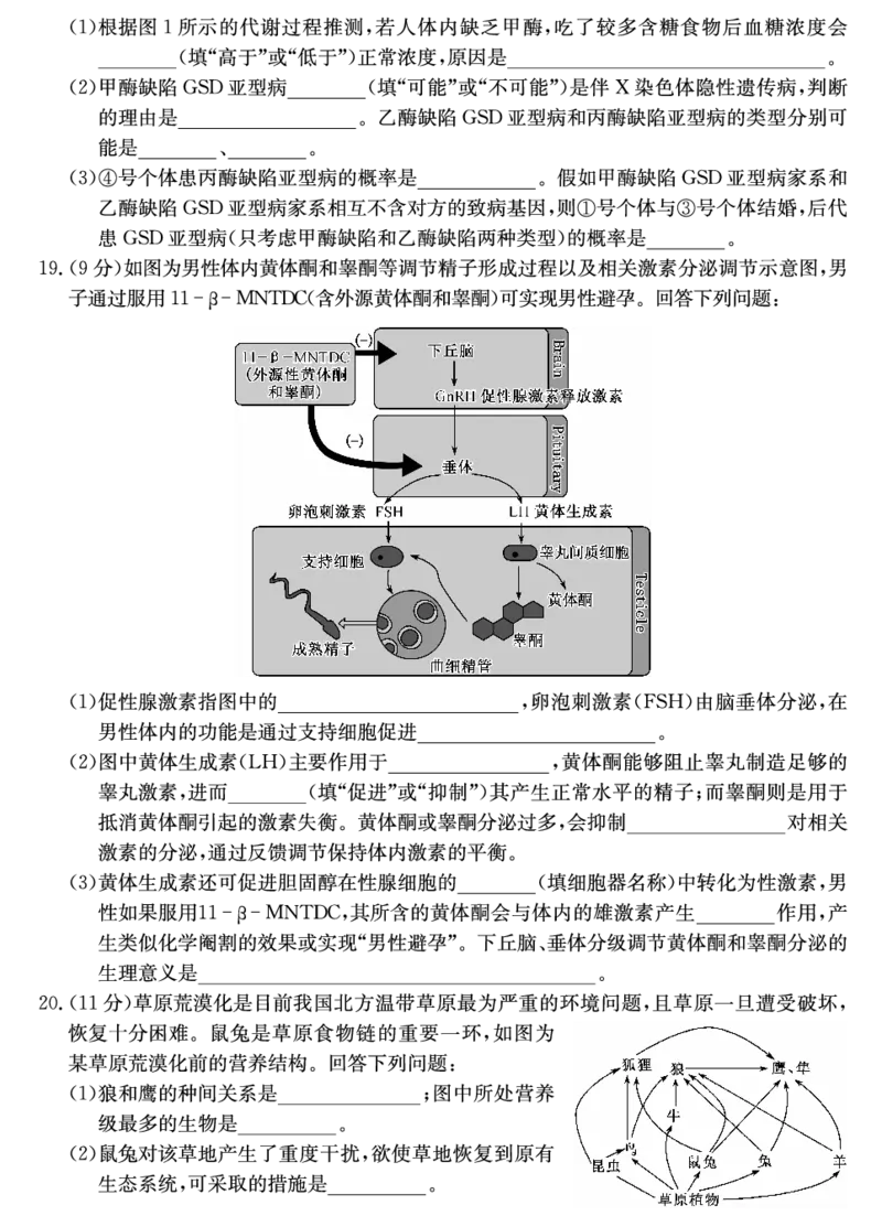 山西省三晋卓越联盟2025届高三上学期期末质量检测卷生物_2025年1月_250124山西省三晋卓越联盟2025届高三上学期期末质量检测卷（全）