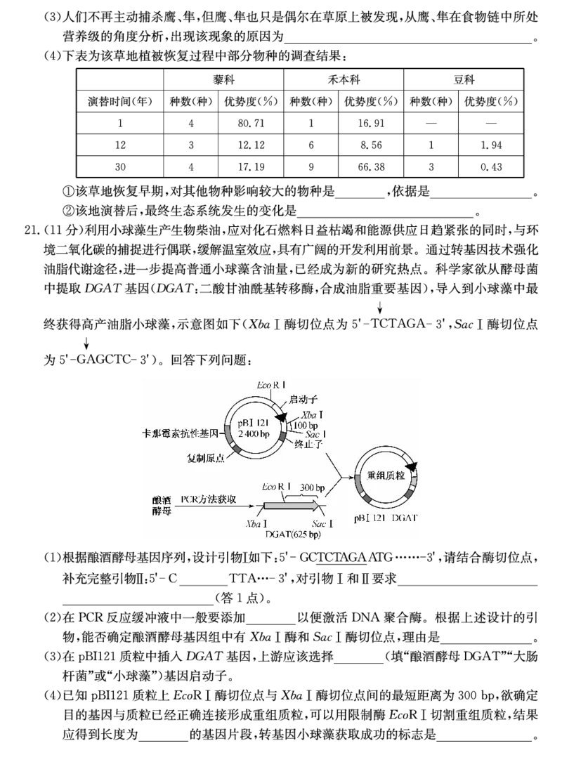 山西省三晋卓越联盟2025届高三上学期期末质量检测卷生物_2025年1月_250124山西省三晋卓越联盟2025届高三上学期期末质量检测卷（全）
