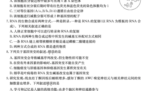 山西省三晋卓越联盟2025届高三上学期期末质量检测卷生物_2025年1月_250124山西省三晋卓越联盟2025届高三上学期期末质量检测卷（全）