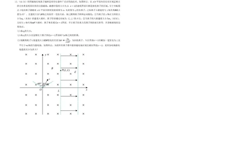 深圳市高级中学高中园2025届高三高考适应性考试（物理）试题_2025年5月_250524广东省深圳市高级中学高中园2025届高三高考适应性考试（全科）