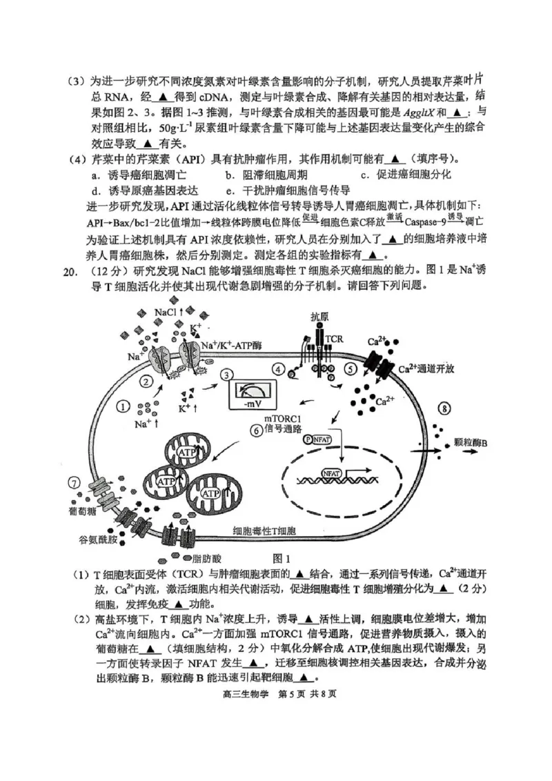 生物试题苏锡常镇二模2025.05_2025年5月_250507江苏省苏锡常镇四市2024-2025学年度高三5月教学情况调研（二）（全科）