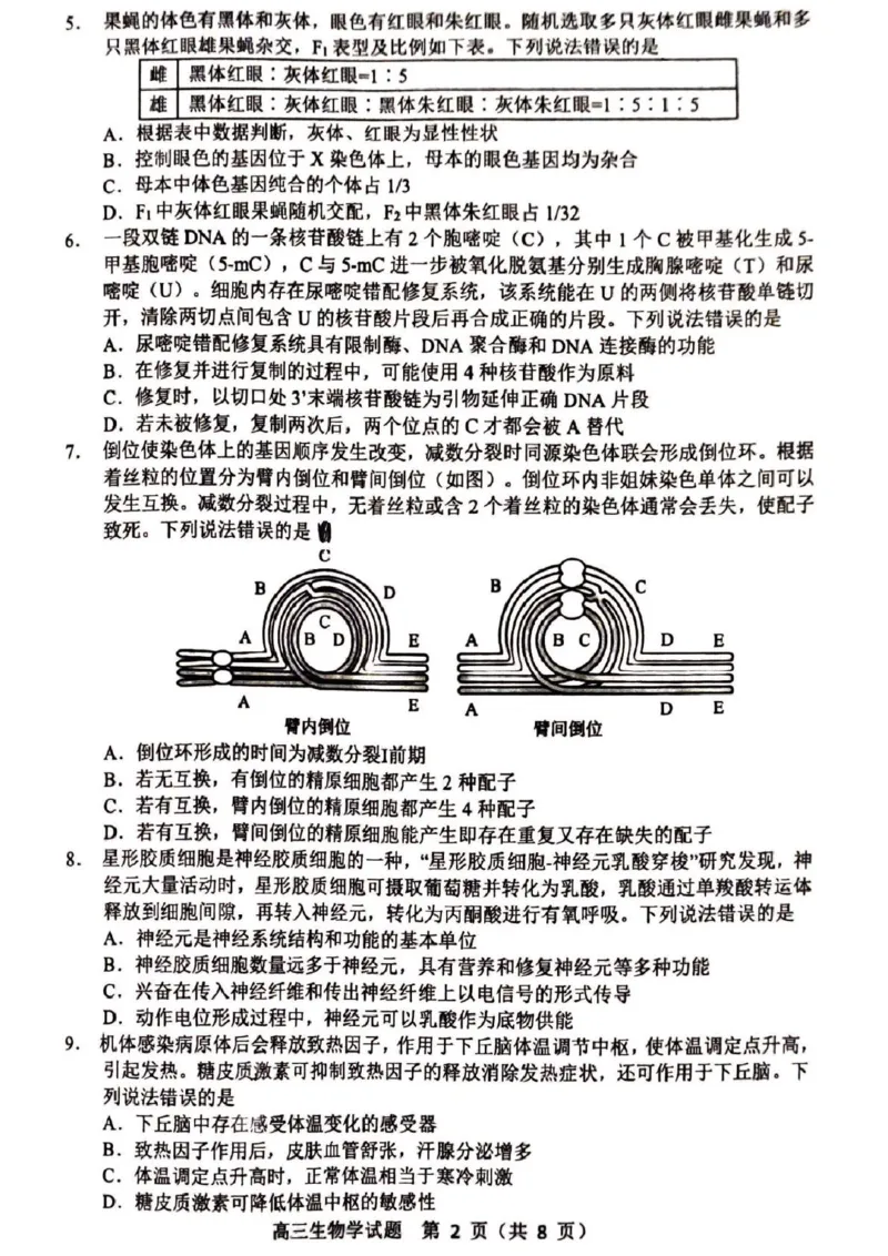 山东省淄博市2025届高三下学期3月模拟考试（淄博一模）生物_2025年3月_250309山东省淄博市、滨州市2025届高三下学期3月第一次模拟考试（全科）
