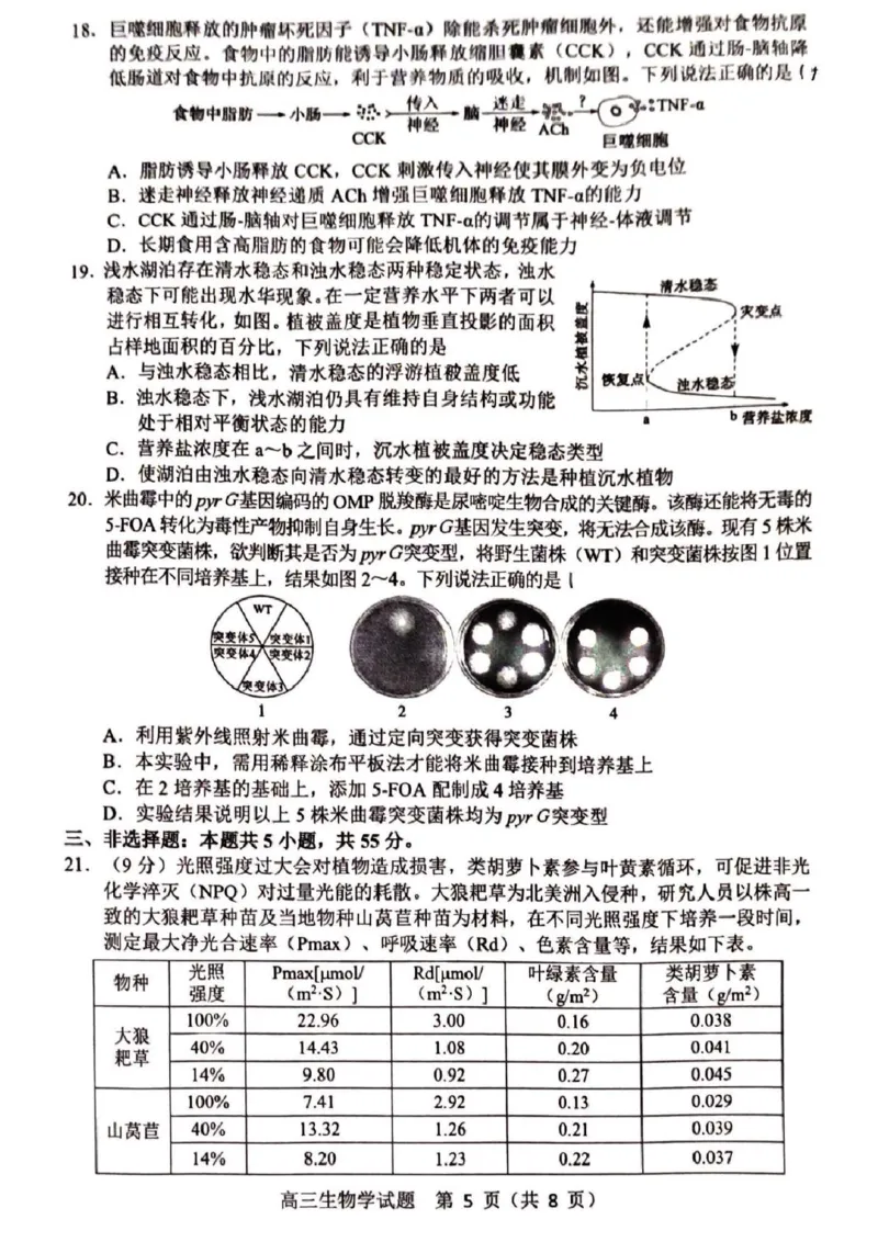 山东省淄博市2025届高三下学期3月模拟考试（淄博一模）生物_2025年3月_250309山东省淄博市、滨州市2025届高三下学期3月第一次模拟考试（全科）