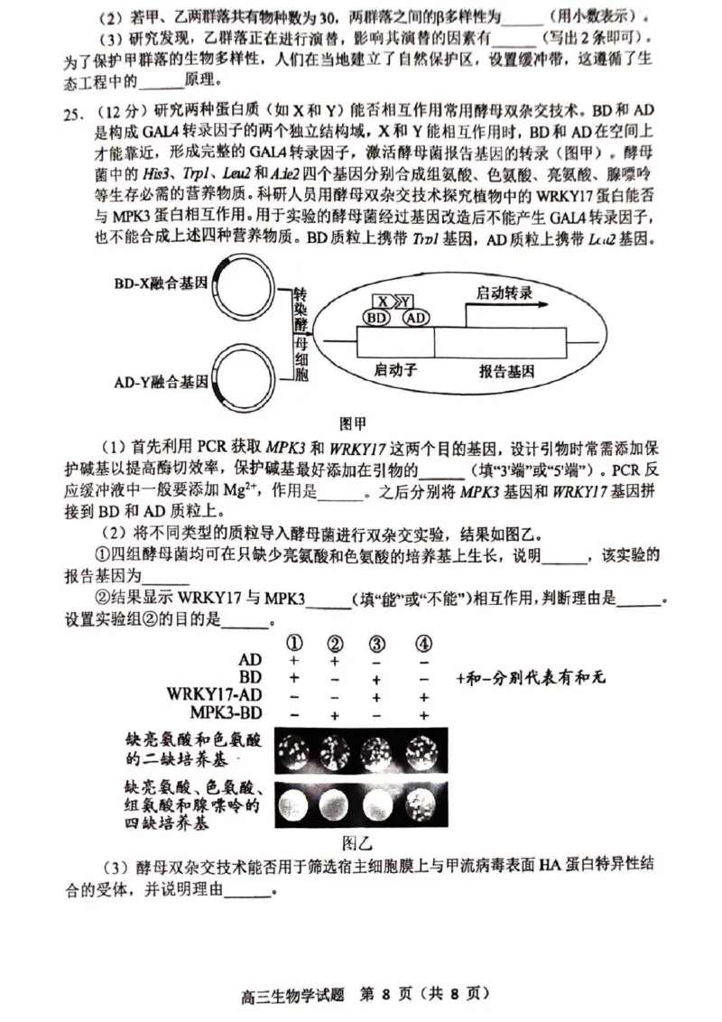 山东省淄博市2025届高三下学期3月模拟考试（淄博一模）生物_2025年3月_250309山东省淄博市、滨州市2025届高三下学期3月第一次模拟考试（全科）