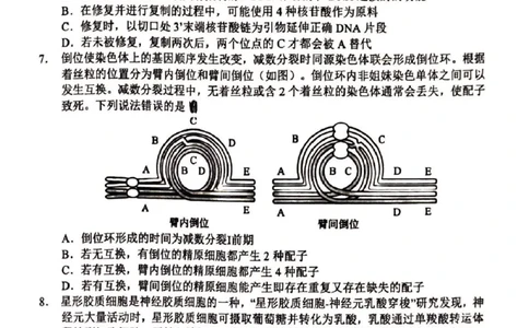 山东省淄博市2025届高三下学期3月模拟考试（淄博一模）生物_2025年3月_250309山东省淄博市、滨州市2025届高三下学期3月第一次模拟考试（全科）