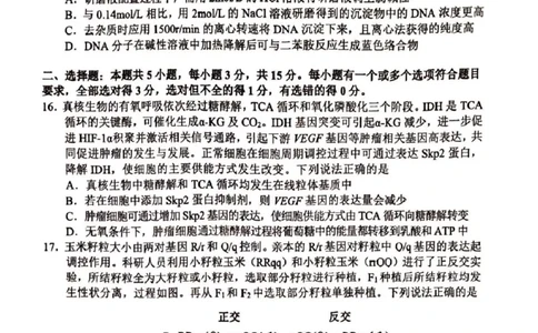 山东省淄博市2025届高三下学期3月模拟考试（淄博一模）生物_2025年3月_250309山东省淄博市、滨州市2025届高三下学期3月第一次模拟考试（全科）