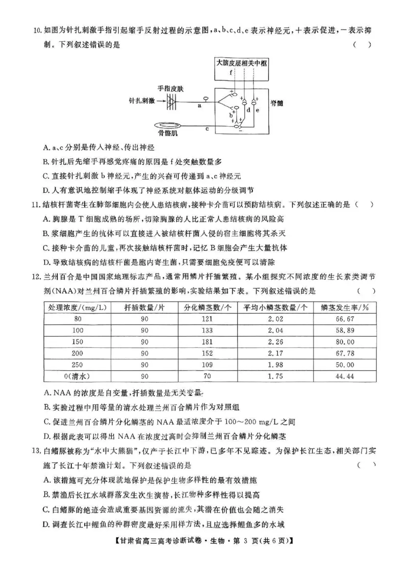 甘肃省2025届高三上学期12月高考诊断生物+答案_2025年1月_250103甘肃省2025届高三上学期12月高考诊断（全科）