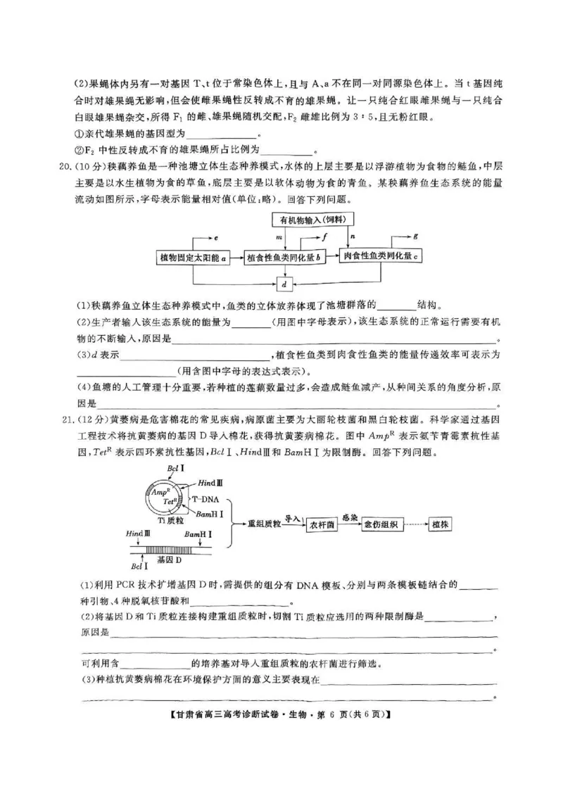 甘肃省2025届高三上学期12月高考诊断生物+答案_2025年1月_250103甘肃省2025届高三上学期12月高考诊断（全科）