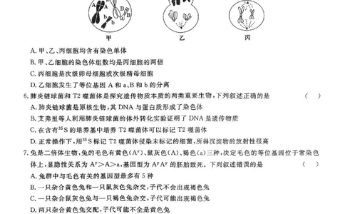 甘肃省2025届高三上学期12月高考诊断生物+答案_2025年1月_250103甘肃省2025届高三上学期12月高考诊断（全科）