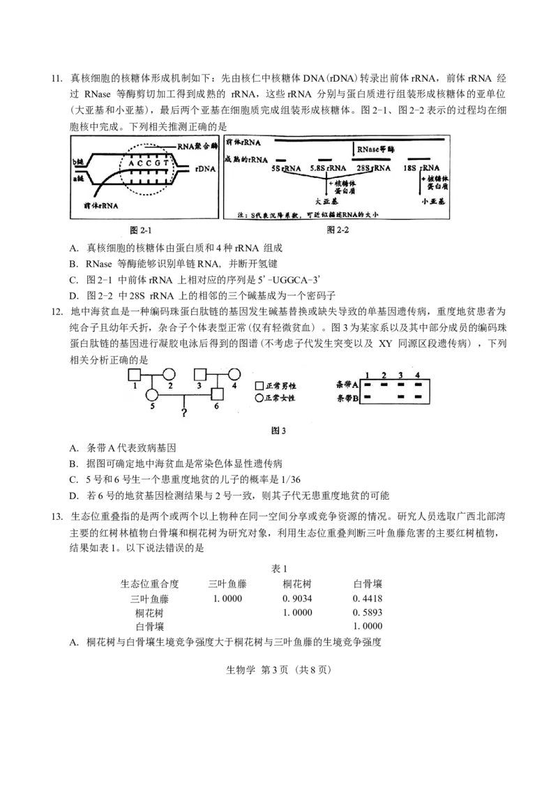 广西柳州市2025届高三第二次模拟考试生物学试题（含答案）_2025年1月_250111广西柳州市2025届高三第二次模拟考试
