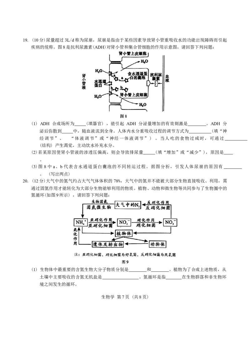 广西柳州市2025届高三第二次模拟考试生物学试题（含答案）_2025年1月_250111广西柳州市2025届高三第二次模拟考试