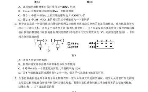 广西柳州市2025届高三第二次模拟考试生物学试题（含答案）_2025年1月_250111广西柳州市2025届高三第二次模拟考试