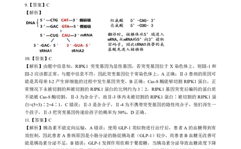 湖北十一校第二次联考生物答案_2025年3月_250326湖北省十一校2025届高三第二次联考（全科）_生物