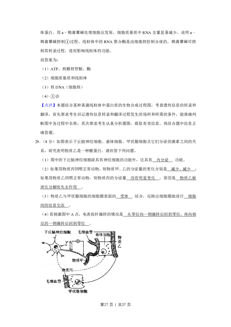 2009年高考生物试卷（江苏）（解析卷）_生物历年高考真题_新&middot;PDF版2008-2025&middot;高考生物真题_生物（按试卷类型分类）2008-2025_自主命题卷&middot;生物（2008-2025）_江苏自主命题&middot;生物（2008-2025）
