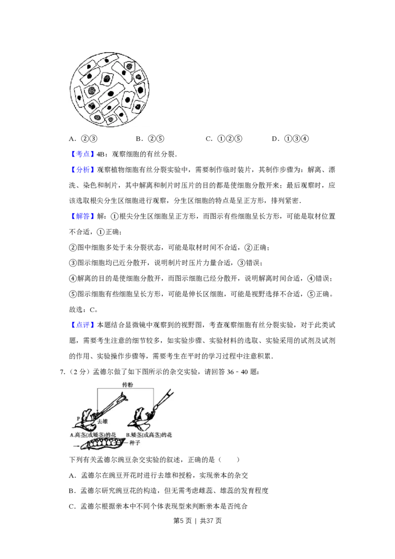 2009年高考生物试卷（江苏）（解析卷）_生物历年高考真题_新&middot;PDF版2008-2025&middot;高考生物真题_生物（按试卷类型分类）2008-2025_自主命题卷&middot;生物（2008-2025）_江苏自主命题&middot;生物（2008-2025）