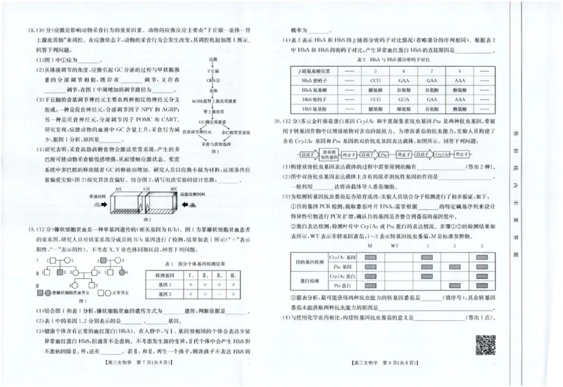 四川金太阳2025届高三5月联考（25-507C）生物_2025年5月_250521四川金太阳2025届高三5月联考（25-507C）（全科）