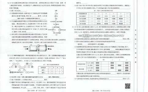 四川金太阳2025届高三5月联考（25-507C）生物_2025年5月_250521四川金太阳2025届高三5月联考（25-507C）（全科）