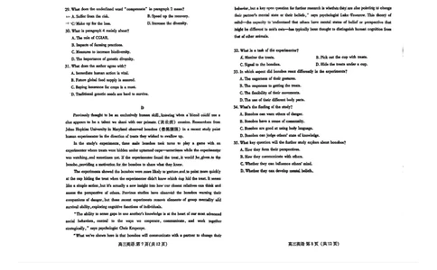 山东省潍坊市2025届高三下学期3月模拟考试英语_2025年3月_250323山东省潍坊市2025届高三下学期3月模拟考试（全科）_山东省潍坊市2025届高三下学期3月模拟考试英语