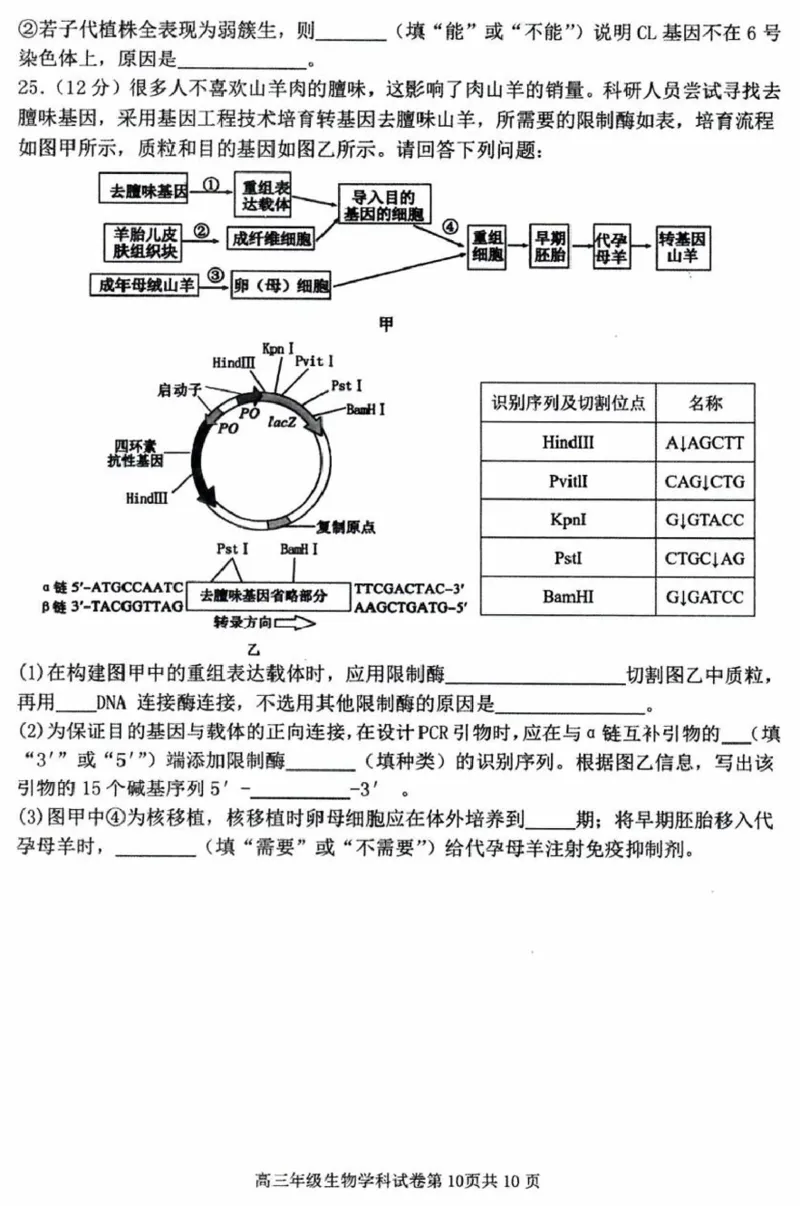 辽宁省五校（东北育才中学、辽宁省实验中学、大连24中学、大连八中、鞍山一中）2025届高三上学期期末考试生物含答案_2025年1月