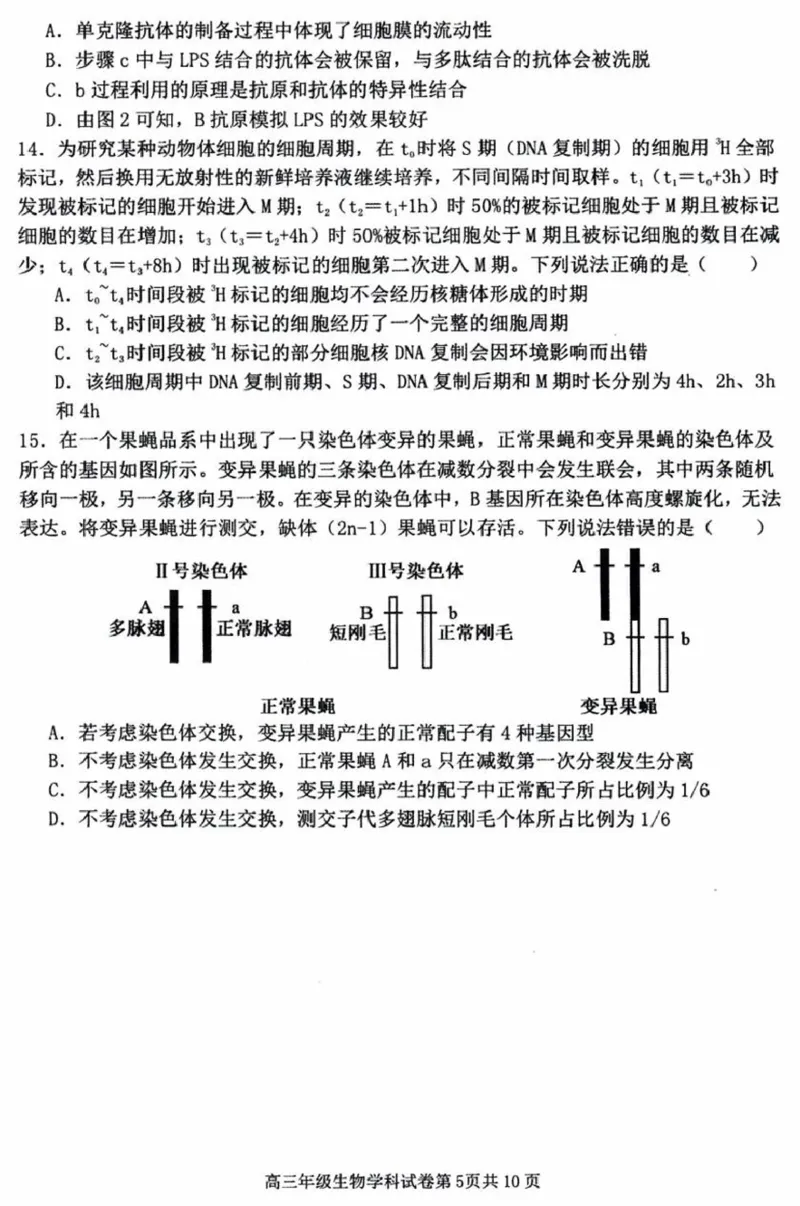 辽宁省五校（东北育才中学、辽宁省实验中学、大连24中学、大连八中、鞍山一中）2025届高三上学期期末考试生物含答案_2025年1月