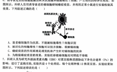 辽宁省五校（东北育才中学、辽宁省实验中学、大连24中学、大连八中、鞍山一中）2025届高三上学期期末考试生物含答案_2025年1月