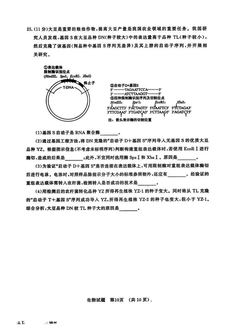 山东省济南市2025-2026学年高三上学期开学摸底考试生物试题_2025年9月_250912山东省济南市2025-2026学年高三上学期9月开学考试（全科）