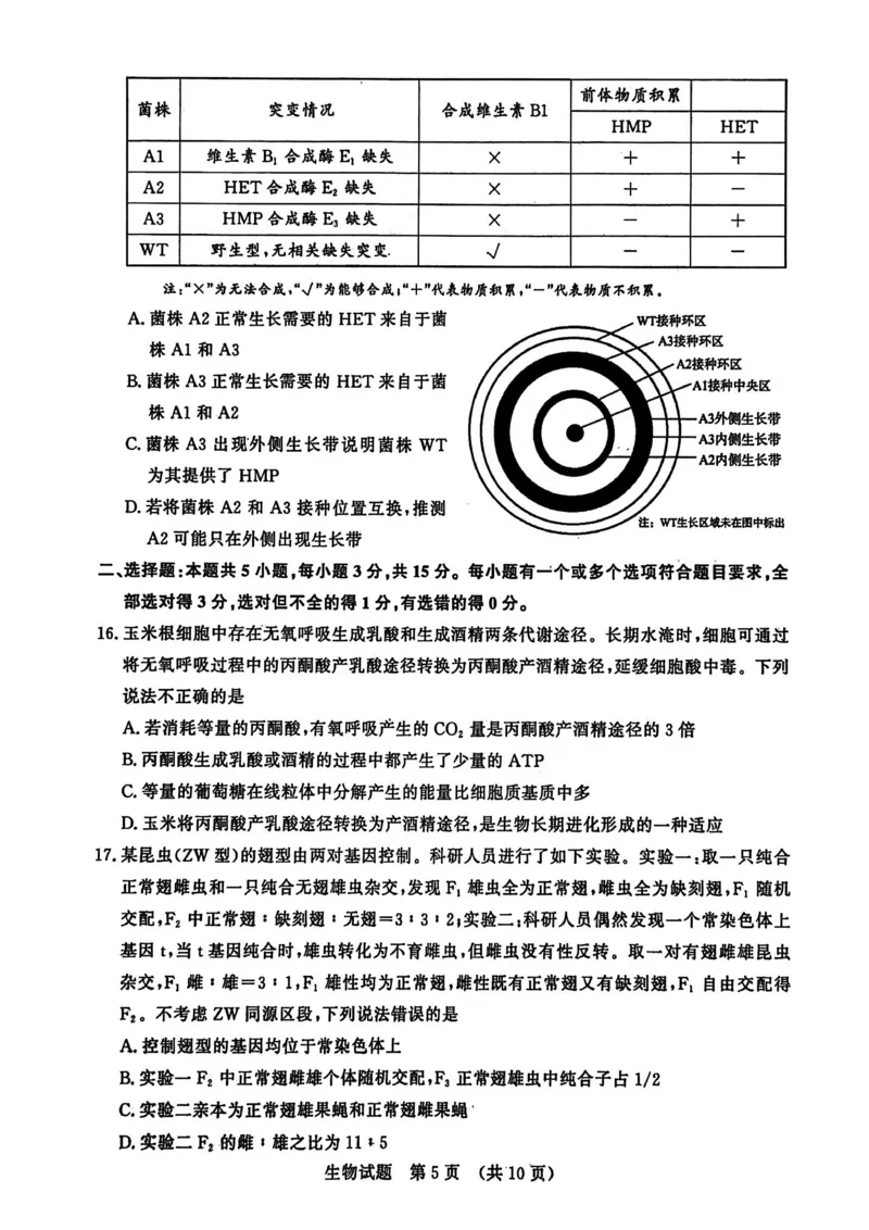 山东省济南市2025-2026学年高三上学期开学摸底考试生物试题_2025年9月_250912山东省济南市2025-2026学年高三上学期9月开学考试（全科）