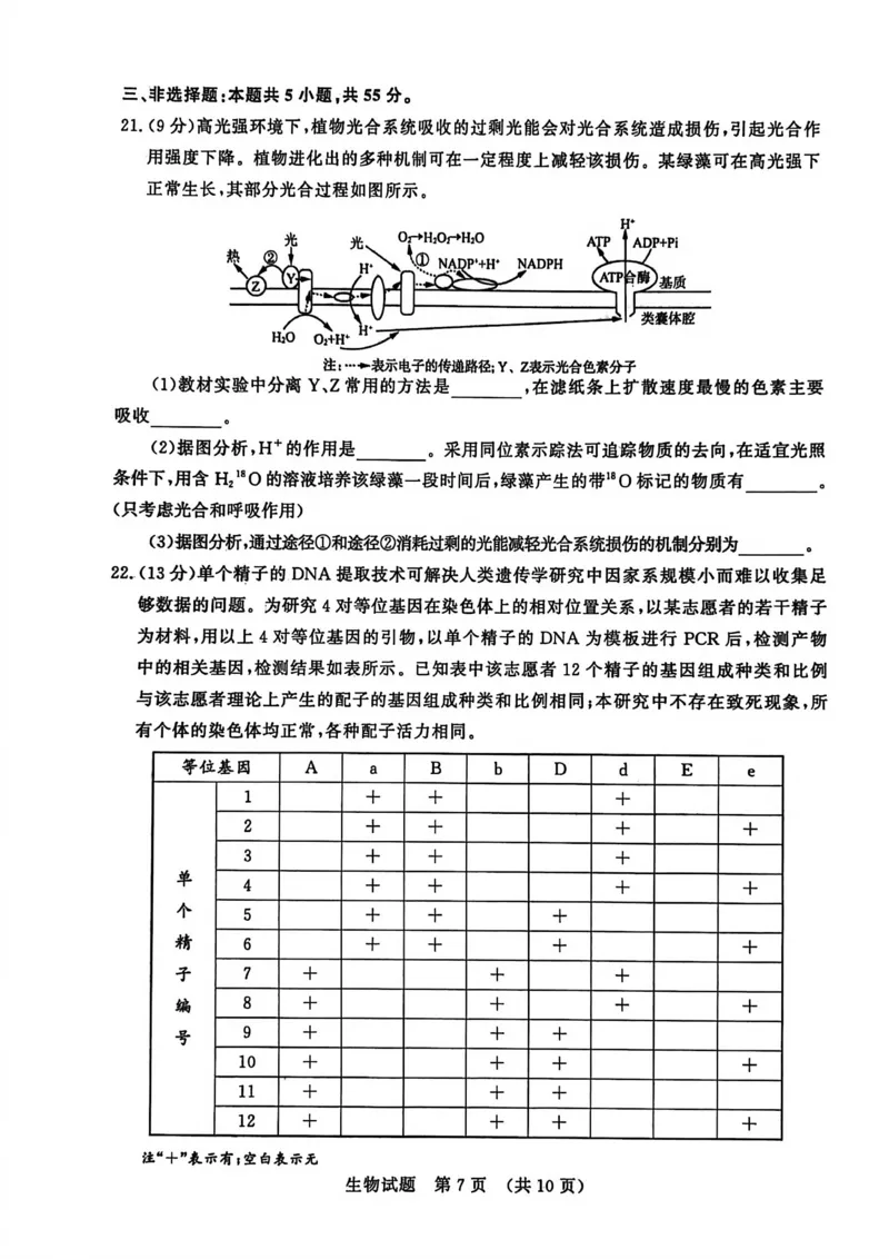 山东省济南市2025-2026学年高三上学期开学摸底考试生物试题_2025年9月_250912山东省济南市2025-2026学年高三上学期9月开学考试（全科）