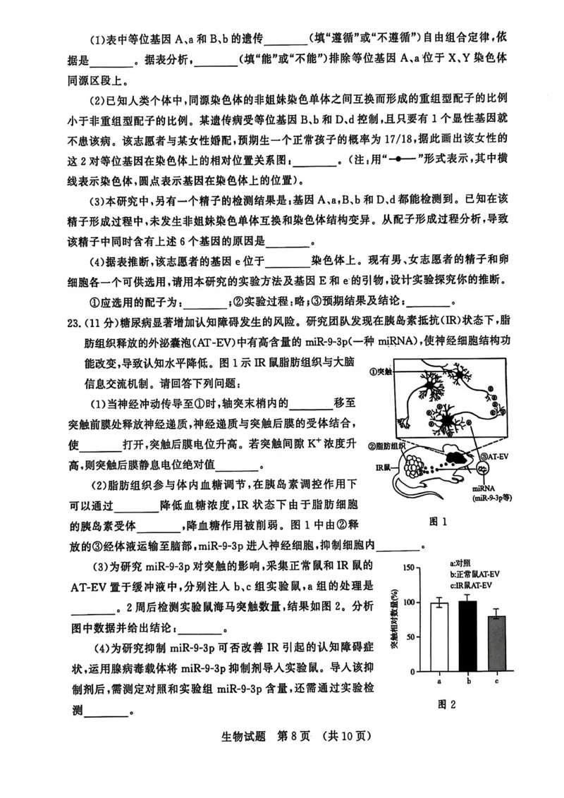 山东省济南市2025-2026学年高三上学期开学摸底考试生物试题_2025年9月_250912山东省济南市2025-2026学年高三上学期9月开学考试（全科）