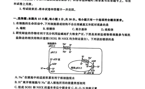 山东省济南市2025-2026学年高三上学期开学摸底考试生物试题_2025年9月_250912山东省济南市2025-2026学年高三上学期9月开学考试（全科）