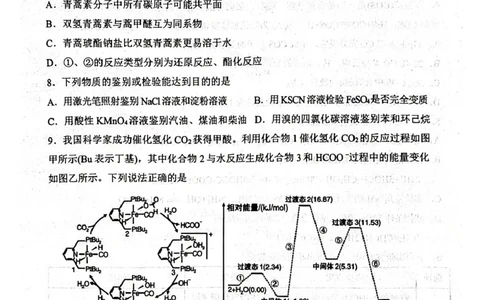 辽宁省丹东市2025届高三下学期3月总复习质量测试（一）化学含答案_2025年4月_250402辽宁省丹东市2025届高三下学期3月总复习质量测试（一）（全科）