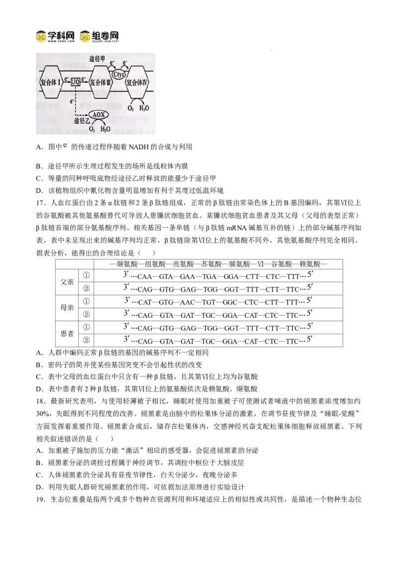 山东省大教育联盟2024-2025学年高三下学期开学考试生物_2025年2月_250207山东省大教育联盟2024-2025学年高三下学期开学考试试题