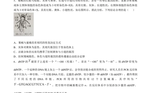 山东省大教育联盟2024-2025学年高三下学期开学考试生物_2025年2月_250207山东省大教育联盟2024-2025学年高三下学期开学考试试题