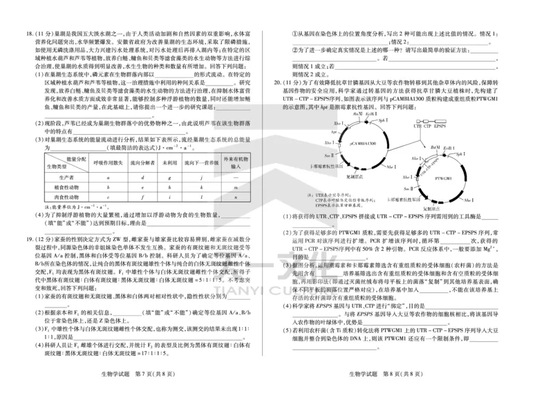 皖豫名校联盟2024-2025学年高三4月份检测生物_2025年4月_250423安徽省天一大联考皖豫名校联盟2024-2025学年高三4月份检测（全科）_皖豫名校联盟2024-2025学年高三4月份检测生物