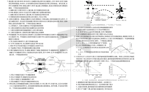 皖豫名校联盟2024-2025学年高三4月份检测生物_2025年4月_250423安徽省天一大联考皖豫名校联盟2024-2025学年高三4月份检测（全科）_皖豫名校联盟2024-2025学年高三4月份检测生物
