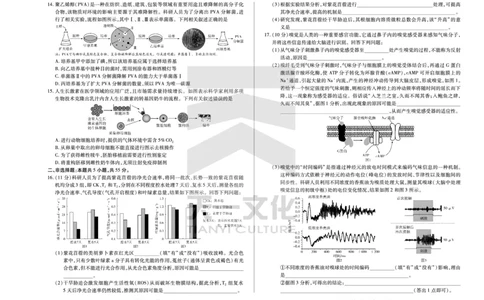 皖豫名校联盟2024-2025学年高三4月份检测生物_2025年4月_250423安徽省天一大联考皖豫名校联盟2024-2025学年高三4月份检测（全科）_皖豫名校联盟2024-2025学年高三4月份检测生物