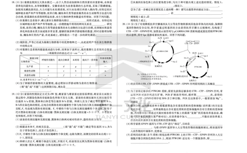 皖豫名校联盟2024-2025学年高三4月份检测生物_2025年4月_250423安徽省天一大联考皖豫名校联盟2024-2025学年高三4月份检测（全科）_皖豫名校联盟2024-2025学年高三4月份检测生物