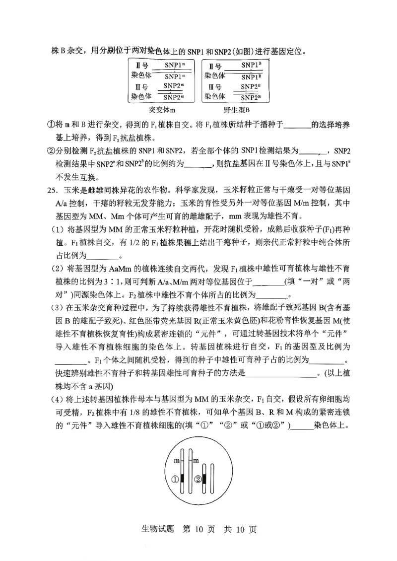 生物试题_2025年10月_251016山东省实验中学2026届高三第一次诊断性考试（10月）_山东省实验中学2025&mdash;2026学年高三上学期第一次诊断性考试生物试题