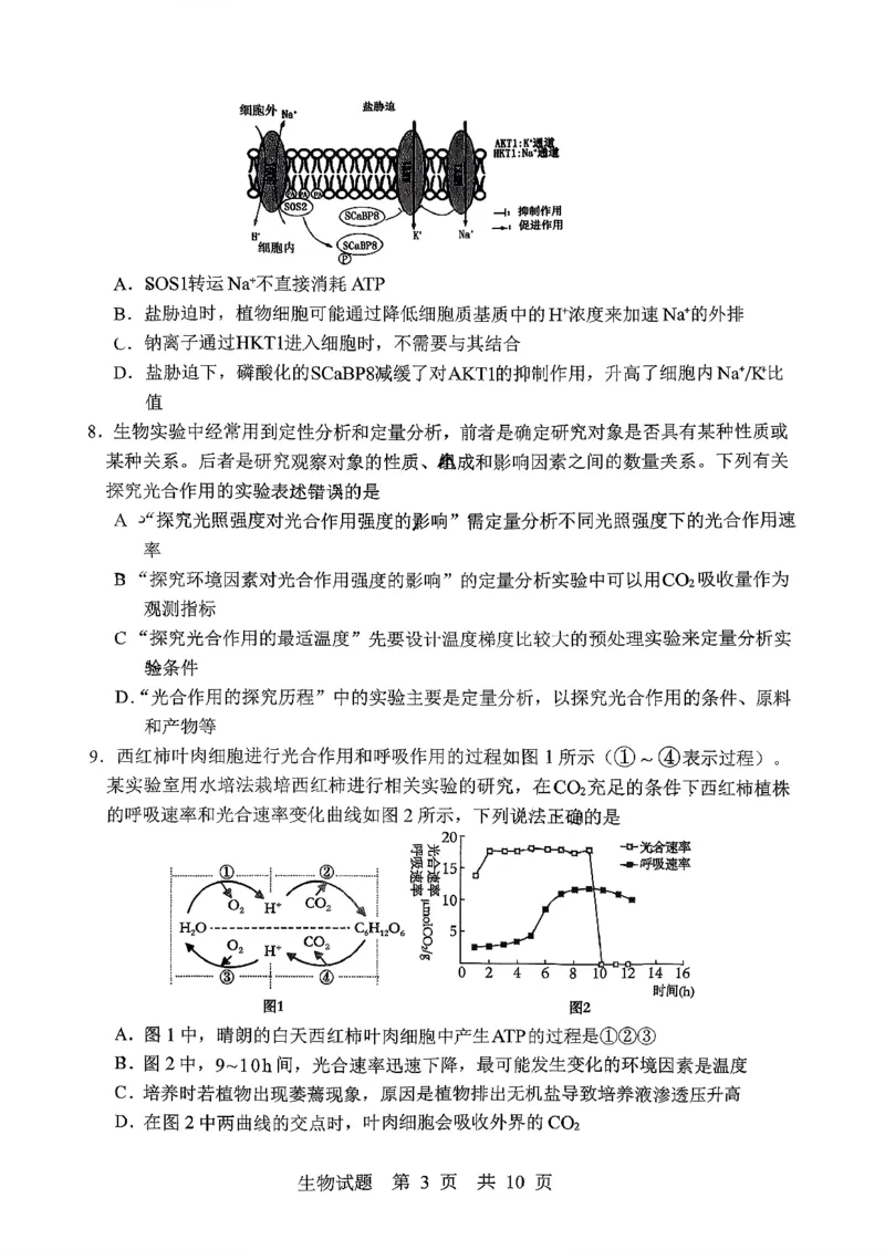 生物试题_2025年10月_251016山东省实验中学2026届高三第一次诊断性考试（10月）_山东省实验中学2025&mdash;2026学年高三上学期第一次诊断性考试生物试题