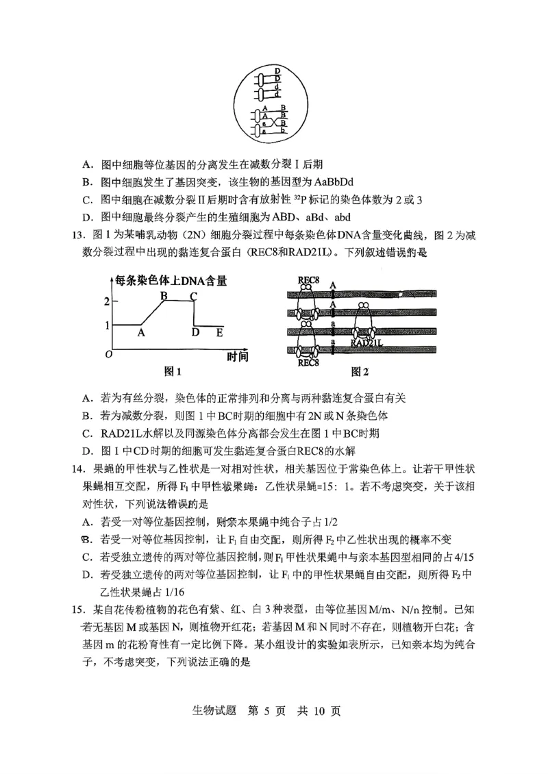 生物试题_2025年10月_251016山东省实验中学2026届高三第一次诊断性考试（10月）_山东省实验中学2025&mdash;2026学年高三上学期第一次诊断性考试生物试题