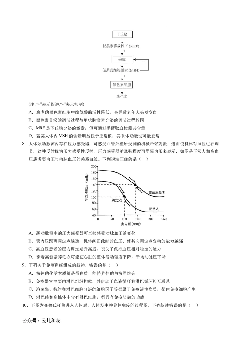 高二生物期中模拟卷（考试版A4）（新八省通用）(1)_1多考区联考_1014高二期中模拟卷（新八省专用）黄金卷：2024-2025学年高二上学期期中模拟考试