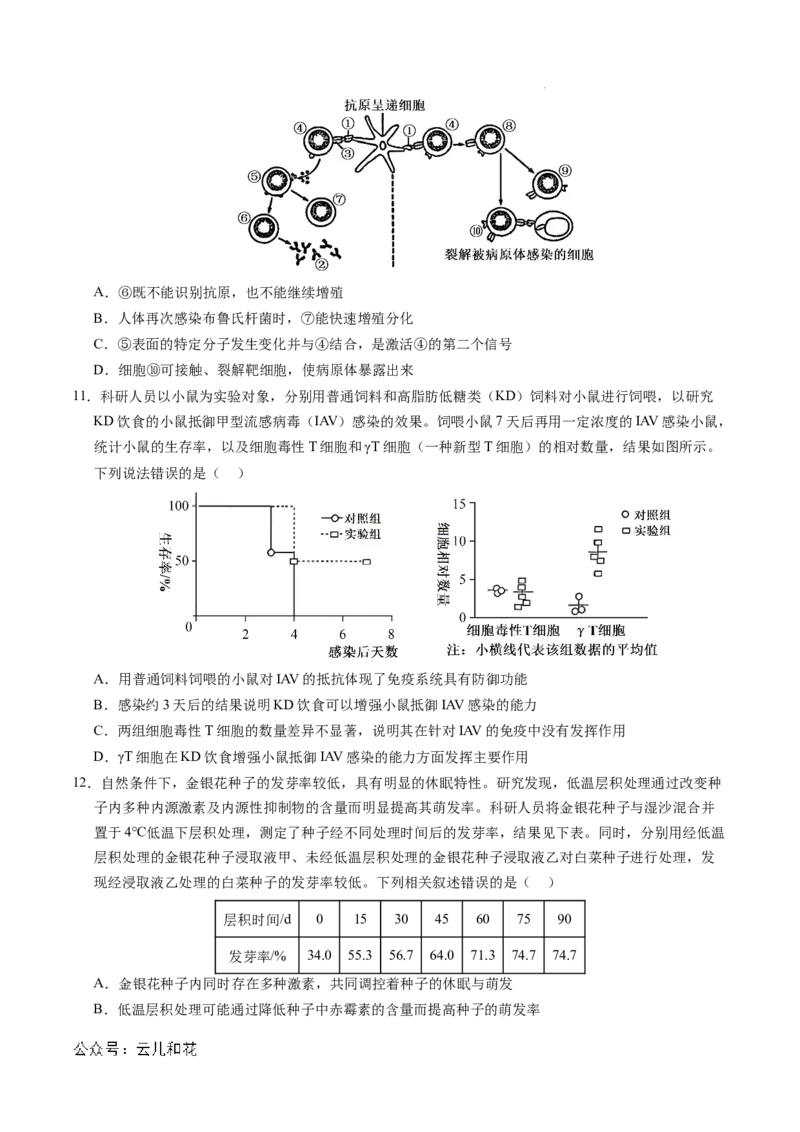 高二生物期中模拟卷（考试版A4）（新八省通用）(1)_1多考区联考_1014高二期中模拟卷（新八省专用）黄金卷：2024-2025学年高二上学期期中模拟考试