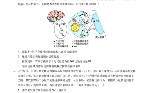 高二生物期中模拟卷（考试版A4）（新八省通用）(1)_1多考区联考_1014高二期中模拟卷（新八省专用）黄金卷：2024-2025学年高二上学期期中模拟考试