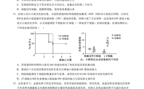 高二生物期中模拟卷（考试版A4）（新八省通用）(1)_1多考区联考_1014高二期中模拟卷（新八省专用）黄金卷：2024-2025学年高二上学期期中模拟考试