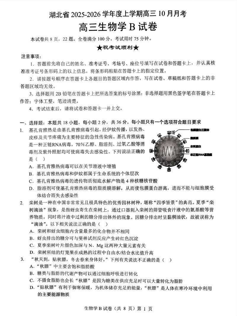湖北省&ldquo;新八校&rdquo;协作体2025-2026学年度上学期高三10月月考生物_2025年10月_251013湖北省&ldquo;新八校&rdquo;协作体2025-2026学年度上学期高三10月月考（全科）