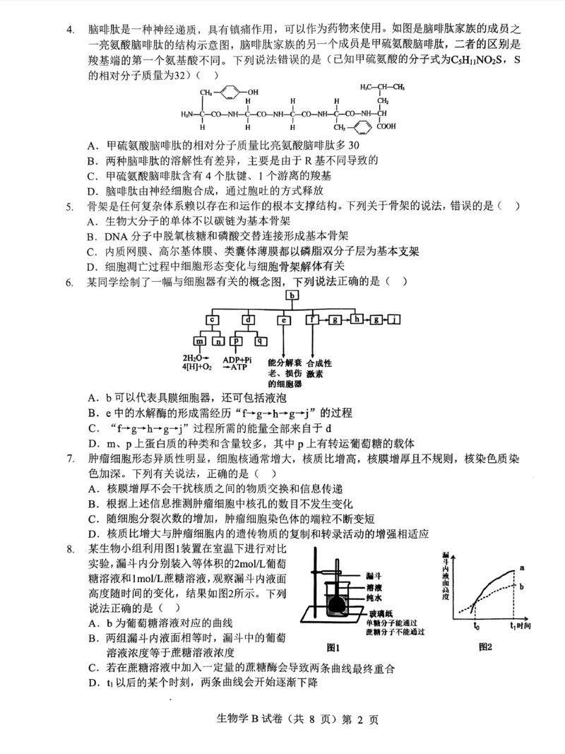 湖北省&ldquo;新八校&rdquo;协作体2025-2026学年度上学期高三10月月考生物_2025年10月_251013湖北省&ldquo;新八校&rdquo;协作体2025-2026学年度上学期高三10月月考（全科）
