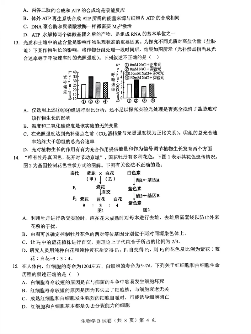 湖北省&ldquo;新八校&rdquo;协作体2025-2026学年度上学期高三10月月考生物_2025年10月_251013湖北省&ldquo;新八校&rdquo;协作体2025-2026学年度上学期高三10月月考（全科）